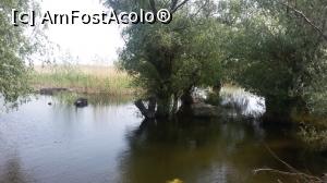 [P30] Ne plimbăm pe acel ponton și facem fotografii.  » foto by Floryn81
 - 
<span class="allrVoted glyphicon glyphicon-heart hidden" id="av734185"></span>
<a class="m-l-10 hidden" id="sv734185" onclick="voting_Foto_DelVot(,734185,20230)" role="button">șterge vot <span class="glyphicon glyphicon-remove"></span></a>
<a id="v9734185" class=" c-red"  onclick="voting_Foto_SetVot(734185)" role="button"><span class="glyphicon glyphicon-heart-empty"></span> <b>LIKE</b> = Votează poza</a> <img class="hidden"  id="f734185W9" src="/imagini/loader.gif" border="0" /><span class="AjErrMes hidden" id="e734185ErM"></span>