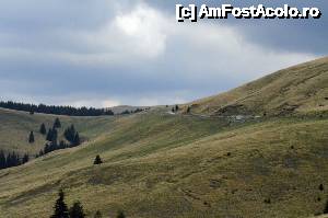 [P03] Pe așa-zisul TransBucegi, spre Piatra Arsă, Bolboci, Peștera - DJ713 drumul dinspre Șaua Dichiului spre Piatra Arsă » foto by Dragoș_MD
 - 
<span class="allrVoted glyphicon glyphicon-heart hidden" id="av680752"></span>
<a class="m-l-10 hidden" id="sv680752" onclick="voting_Foto_DelVot(,680752,20272)" role="button">șterge vot <span class="glyphicon glyphicon-remove"></span></a>
<a id="v9680752" class=" c-red"  onclick="voting_Foto_SetVot(680752)" role="button"><span class="glyphicon glyphicon-heart-empty"></span> <b>LIKE</b> = Votează poza</a> <img class="hidden"  id="f680752W9" src="/imagini/loader.gif" border="0" /><span class="AjErrMes hidden" id="e680752ErM"></span>