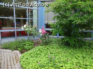 [P12] Intrarea in hotel » foto by fanespoitorul
 - 
<span class="allrVoted glyphicon glyphicon-heart hidden" id="av746114"></span>
<a class="m-l-10 hidden" id="sv746114" onclick="voting_Foto_DelVot(,746114,20363)" role="button">șterge vot <span class="glyphicon glyphicon-remove"></span></a>
<a id="v9746114" class=" c-red"  onclick="voting_Foto_SetVot(746114)" role="button"><span class="glyphicon glyphicon-heart-empty"></span> <b>LIKE</b> = Votează poza</a> <img class="hidden"  id="f746114W9" src="/imagini/loader.gif" border="0" /><span class="AjErrMes hidden" id="e746114ErM"></span>