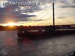 [P18] Rinul » foto by fanespoitorul
 - 
<span class="allrVoted glyphicon glyphicon-heart hidden" id="av746127"></span>
<a class="m-l-10 hidden" id="sv746127" onclick="voting_Foto_DelVot(,746127,20363)" role="button">șterge vot <span class="glyphicon glyphicon-remove"></span></a>
<a id="v9746127" class=" c-red"  onclick="voting_Foto_SetVot(746127)" role="button"><span class="glyphicon glyphicon-heart-empty"></span> <b>LIKE</b> = Votează poza</a> <img class="hidden"  id="f746127W9" src="/imagini/loader.gif" border="0" /><span class="AjErrMes hidden" id="e746127ErM"></span>