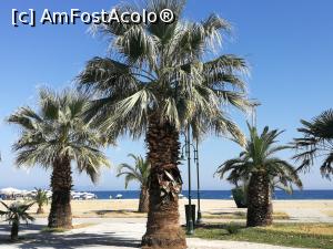 [P08] Promenada spre plaja » foto by ancutza26
 - 
<span class="allrVoted glyphicon glyphicon-heart hidden" id="av918137"></span>
<a class="m-l-10 hidden" id="sv918137" onclick="voting_Foto_DelVot(,918137,20441)" role="button">șterge vot <span class="glyphicon glyphicon-remove"></span></a>
<a id="v9918137" class=" c-red"  onclick="voting_Foto_SetVot(918137)" role="button"><span class="glyphicon glyphicon-heart-empty"></span> <b>LIKE</b> = Votează poza</a> <img class="hidden"  id="f918137W9" src="/imagini/loader.gif" border="0" /><span class="AjErrMes hidden" id="e918137ErM"></span>