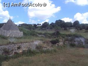 [P28] In drum spre Alberobello, pe camp am vazut multe casute trulli.  » foto by Carmen Ion
 - 
<span class="allrVoted glyphicon glyphicon-heart hidden" id="av754000"></span>
<a class="m-l-10 hidden" id="sv754000" onclick="voting_Foto_DelVot(,754000,20469)" role="button">șterge vot <span class="glyphicon glyphicon-remove"></span></a>
<a id="v9754000" class=" c-red"  onclick="voting_Foto_SetVot(754000)" role="button"><span class="glyphicon glyphicon-heart-empty"></span> <b>LIKE</b> = Votează poza</a> <img class="hidden"  id="f754000W9" src="/imagini/loader.gif" border="0" /><span class="AjErrMes hidden" id="e754000ErM"></span>