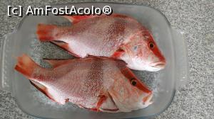 [P13] red-snapper - 10 euro cei doi pesti. carne alba, extraordinara » foto by ascarlat
 - 
<span class="allrVoted glyphicon glyphicon-heart hidden" id="av763756"></span>
<a class="m-l-10 hidden" id="sv763756" onclick="voting_Foto_DelVot(,763756,20579)" role="button">șterge vot <span class="glyphicon glyphicon-remove"></span></a>
<a id="v9763756" class=" c-red"  onclick="voting_Foto_SetVot(763756)" role="button"><span class="glyphicon glyphicon-heart-empty"></span> <b>LIKE</b> = Votează poza</a> <img class="hidden"  id="f763756W9" src="/imagini/loader.gif" border="0" /><span class="AjErrMes hidden" id="e763756ErM"></span>