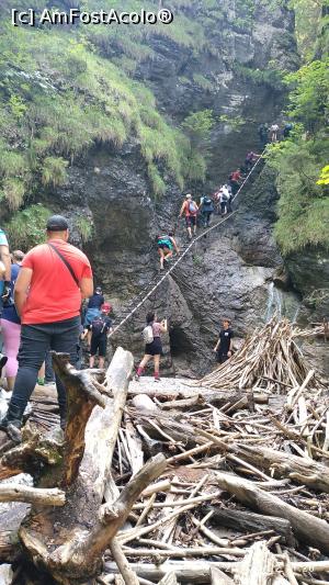 [P07] Ziua 1 - Slovensky Raj - Traseul Sucha Bela. NU se vede în poză, însă în acest punct era o coadă de peste 100 persoane (se aștepta cam o oră). Unul dintre punctele cele mai dificile ale traseului. » foto by tm67bru
 - 
<span class="allrVoted glyphicon glyphicon-heart hidden" id="av1387330"></span>
<a class="m-l-10 hidden" id="sv1387330" onclick="voting_Foto_DelVot(,1387330,20628)" role="button">șterge vot <span class="glyphicon glyphicon-remove"></span></a>
<a id="v91387330" class=" c-red"  onclick="voting_Foto_SetVot(1387330)" role="button"><span class="glyphicon glyphicon-heart-empty"></span> <b>LIKE</b> = Votează poza</a> <img class="hidden"  id="f1387330W9" src="/imagini/loader.gif" border="0" /><span class="AjErrMes hidden" id="e1387330ErM"></span>