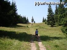 P18 [AUG-2011] Partea abruptă a potecii s-a terminat, drumul a ieșit din pădure iar spre capăt se vede, înșelătoare, o culme. 