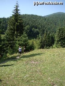 [P14] Înainte de a intra în pădure, poteca trece pe lângă câțiva brazi singuratici.  » foto by Utube
 - 
<span class="allrVoted glyphicon glyphicon-heart hidden" id="av399036"></span>
<a class="m-l-10 hidden" id="sv399036" onclick="voting_Foto_DelVot(,399036,20671)" role="button">șterge vot <span class="glyphicon glyphicon-remove"></span></a>
<a id="v9399036" class=" c-red"  onclick="voting_Foto_SetVot(399036)" role="button"><span class="glyphicon glyphicon-heart-empty"></span> <b>LIKE</b> = Votează poza</a> <img class="hidden"  id="f399036W9" src="/imagini/loader.gif" border="0" /><span class="AjErrMes hidden" id="e399036ErM"></span>