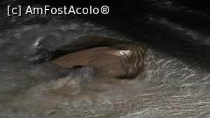 [P20] Pisicile de mare sunt invitate la cina » foto by Kyandra
 - 
<span class="allrVoted glyphicon glyphicon-heart hidden" id="av775376"></span>
<a class="m-l-10 hidden" id="sv775376" onclick="voting_Foto_DelVot(,775376,20748)" role="button">șterge vot <span class="glyphicon glyphicon-remove"></span></a>
<a id="v9775376" class=" c-red"  onclick="voting_Foto_SetVot(775376)" role="button"><span class="glyphicon glyphicon-heart-empty"></span> <b>LIKE</b> = Votează poza</a> <img class="hidden"  id="f775376W9" src="/imagini/loader.gif" border="0" /><span class="AjErrMes hidden" id="e775376ErM"></span>