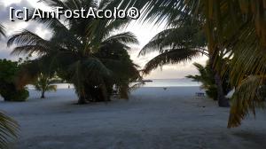 [P24]  -- <small>// FĂRĂ DESCRIERE</small> » foto by Kyandra
 - 
<span class="allrVoted glyphicon glyphicon-heart hidden" id="av775380"></span>
<a class="m-l-10 hidden" id="sv775380" onclick="voting_Foto_DelVot(,775380,20748)" role="button">șterge vot <span class="glyphicon glyphicon-remove"></span></a>
<a id="v9775380" class=" c-red"  onclick="voting_Foto_SetVot(775380)" role="button"><span class="glyphicon glyphicon-heart-empty"></span> <b>LIKE</b> = Votează poza</a> <img class="hidden"  id="f775380W9" src="/imagini/loader.gif" border="0" /><span class="AjErrMes hidden" id="e775380ErM"></span>