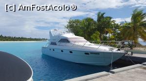 [P26]  -- <small>// FĂRĂ DESCRIERE</small> » foto by Kyandra
 - 
<span class="allrVoted glyphicon glyphicon-heart hidden" id="av775382"></span>
<a class="m-l-10 hidden" id="sv775382" onclick="voting_Foto_DelVot(,775382,20748)" role="button">șterge vot <span class="glyphicon glyphicon-remove"></span></a>
<a id="v9775382" class=" c-red"  onclick="voting_Foto_SetVot(775382)" role="button"><span class="glyphicon glyphicon-heart-empty"></span> <b>LIKE</b> = Votează poza</a> <img class="hidden"  id="f775382W9" src="/imagini/loader.gif" border="0" /><span class="AjErrMes hidden" id="e775382ErM"></span>