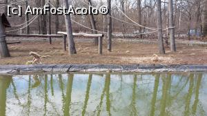 [P14] Zoo » foto by Nicu
 - 
<span class="allrVoted glyphicon glyphicon-heart hidden" id="av954725"></span>
<a class="m-l-10 hidden" id="sv954725" onclick="voting_Foto_DelVot(,954725,20803)" role="button">șterge vot <span class="glyphicon glyphicon-remove"></span></a>
<a id="v9954725" class=" c-red"  onclick="voting_Foto_SetVot(954725)" role="button"><span class="glyphicon glyphicon-heart-empty"></span> <b>LIKE</b> = Votează poza</a> <img class="hidden"  id="f954725W9" src="/imagini/loader.gif" border="0" /><span class="AjErrMes hidden" id="e954725ErM"></span>