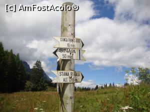 [P17] Uraa! Am ajuns la Stâna Regală! Pajiștea alpină se întindea în fața noastră, invitându-ne parcă să o explorăm (ceea ce am și făcut)! » foto by Floryn81
 - 
<span class="allrVoted glyphicon glyphicon-heart hidden" id="av786902"></span>
<a class="m-l-10 hidden" id="sv786902" onclick="voting_Foto_DelVot(,786902,20952)" role="button">șterge vot <span class="glyphicon glyphicon-remove"></span></a>
<a id="v9786902" class=" c-red"  onclick="voting_Foto_SetVot(786902)" role="button"><span class="glyphicon glyphicon-heart-empty"></span> <b>LIKE</b> = Votează poza</a> <img class="hidden"  id="f786902W9" src="/imagini/loader.gif" border="0" /><span class="AjErrMes hidden" id="e786902ErM"></span>