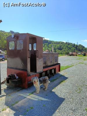 [P03] „Locomotiva” pregătită de drum. » foto by tata123 🔱
 - 
<span class="allrVoted glyphicon glyphicon-heart hidden" id="av1331986"></span>
<a class="m-l-10 hidden" id="sv1331986" onclick="voting_Foto_DelVot(,1331986,21083)" role="button">șterge vot <span class="glyphicon glyphicon-remove"></span></a>
<a id="v91331986" class=" c-red"  onclick="voting_Foto_SetVot(1331986)" role="button"><span class="glyphicon glyphicon-heart-empty"></span> <b>LIKE</b> = Votează poza</a> <img class="hidden"  id="f1331986W9" src="/imagini/loader.gif" border="0" /><span class="AjErrMes hidden" id="e1331986ErM"></span>