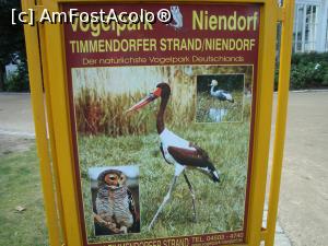 [P26] Niendorf, o mica statiune la 4 km te invita in parcul de pasari, cu o colectie unica de 38 de specii de bufnite -9 euro intrarea » foto by mireille
 - 
<span class="allrVoted glyphicon glyphicon-heart hidden" id="av826501"></span>
<a class="m-l-10 hidden" id="sv826501" onclick="voting_Foto_DelVot(,826501,21185)" role="button">șterge vot <span class="glyphicon glyphicon-remove"></span></a>
<a id="v9826501" class=" c-red"  onclick="voting_Foto_SetVot(826501)" role="button"><span class="glyphicon glyphicon-heart-empty"></span> <b>LIKE</b> = Votează poza</a> <img class="hidden"  id="f826501W9" src="/imagini/loader.gif" border="0" /><span class="AjErrMes hidden" id="e826501ErM"></span>