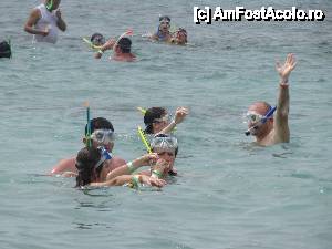 [P12] Snorkling - aici era gasca celor care nu stiau sa inoate bine » foto by georgika_85
 - 
<span class="allrVoted glyphicon glyphicon-heart hidden" id="av483828"></span>
<a class="m-l-10 hidden" id="sv483828" onclick="voting_Foto_DelVot(,483828,21310)" role="button">șterge vot <span class="glyphicon glyphicon-remove"></span></a>
<a id="v9483828" class=" c-red"  onclick="voting_Foto_SetVot(483828)" role="button"><span class="glyphicon glyphicon-heart-empty"></span> <b>LIKE</b> = Votează poza</a> <img class="hidden"  id="f483828W9" src="/imagini/loader.gif" border="0" /><span class="AjErrMes hidden" id="e483828ErM"></span>