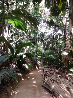 [P21] Oamenii junglei. Cam aceasta era distanța până la grup.  » foto by Alina53
 - 
<span class="allrVoted glyphicon glyphicon-heart hidden" id="av826888"></span>
<a class="m-l-10 hidden" id="sv826888" onclick="voting_Foto_DelVot(,826888,21412)" role="button">șterge vot <span class="glyphicon glyphicon-remove"></span></a>
<a id="v9826888" class=" c-red"  onclick="voting_Foto_SetVot(826888)" role="button"><span class="glyphicon glyphicon-heart-empty"></span> <b>LIKE</b> = Votează poza</a> <img class="hidden"  id="f826888W9" src="/imagini/loader.gif" border="0" /><span class="AjErrMes hidden" id="e826888ErM"></span>