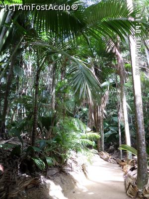 [P23] Pe potecuța junglei » foto by Alina53
 - 
<span class="allrVoted glyphicon glyphicon-heart hidden" id="av826890"></span>
<a class="m-l-10 hidden" id="sv826890" onclick="voting_Foto_DelVot(,826890,21412)" role="button">șterge vot <span class="glyphicon glyphicon-remove"></span></a>
<a id="v9826890" class=" c-red"  onclick="voting_Foto_SetVot(826890)" role="button"><span class="glyphicon glyphicon-heart-empty"></span> <b>LIKE</b> = Votează poza</a> <img class="hidden"  id="f826890W9" src="/imagini/loader.gif" border="0" /><span class="AjErrMes hidden" id="e826890ErM"></span>