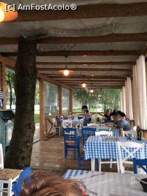 [P56] Taverna Marelui Paharnic cu arborele care înțepa acolerișul » foto by krisstinna
 - 
<span class="allrVoted glyphicon glyphicon-heart hidden" id="av864638"></span>
<a class="m-l-10 hidden" id="sv864638" onclick="voting_Foto_DelVot(,864638,21446)" role="button">șterge vot <span class="glyphicon glyphicon-remove"></span></a>
<a id="v9864638" class=" c-red"  onclick="voting_Foto_SetVot(864638)" role="button"><span class="glyphicon glyphicon-heart-empty"></span> <b>LIKE</b> = Votează poza</a> <img class="hidden"  id="f864638W9" src="/imagini/loader.gif" border="0" /><span class="AjErrMes hidden" id="e864638ErM"></span>