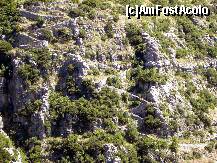 [P48] Kalderimi ce urcă versantul defileului Vikos » foto by marius.covaci
 - 
<span class="allrVoted glyphicon glyphicon-heart hidden" id="av204420"></span>
<a class="m-l-10 hidden" id="sv204420" onclick="voting_Foto_DelVot(,204420,21484)" role="button">șterge vot <span class="glyphicon glyphicon-remove"></span></a>
<a id="v9204420" class=" c-red"  onclick="voting_Foto_SetVot(204420)" role="button"><span class="glyphicon glyphicon-heart-empty"></span> <b>LIKE</b> = Votează poza</a> <img class="hidden"  id="f204420W9" src="/imagini/loader.gif" border="0" /><span class="AjErrMes hidden" id="e204420ErM"></span>