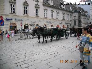 [P07] in fata catedralei » foto by zlatna
 - 
<span class="allrVoted glyphicon glyphicon-heart hidden" id="av641906"></span>
<a class="m-l-10 hidden" id="sv641906" onclick="voting_Foto_DelVot(,641906,21492)" role="button">șterge vot <span class="glyphicon glyphicon-remove"></span></a>
<a id="v9641906" class=" c-red"  onclick="voting_Foto_SetVot(641906)" role="button"><span class="glyphicon glyphicon-heart-empty"></span> <b>LIKE</b> = Votează poza</a> <img class="hidden"  id="f641906W9" src="/imagini/loader.gif" border="0" /><span class="AjErrMes hidden" id="e641906ErM"></span>