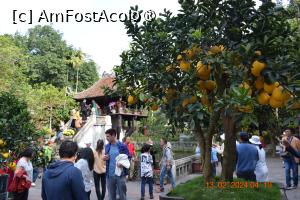 [P13] Hanoi - One Pillar Pagoda , în parcul unde se găsește și Mausoleul lui Ho CHi Minh » foto by Pușcașu Marin
 - 
<span class="allrVoted glyphicon glyphicon-heart hidden" id="av1422866"></span>
<a class="m-l-10 hidden" id="sv1422866" onclick="voting_Foto_DelVot(,1422866,21495)" role="button">șterge vot <span class="glyphicon glyphicon-remove"></span></a>
<a id="v91422866" class=" c-red"  onclick="voting_Foto_SetVot(1422866)" role="button"><span class="glyphicon glyphicon-heart-empty"></span> <b>LIKE</b> = Votează poza</a> <img class="hidden"  id="f1422866W9" src="/imagini/loader.gif" border="0" /><span class="AjErrMes hidden" id="e1422866ErM"></span>