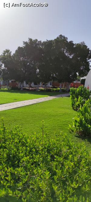 [P02] Gradina » foto by luc64
 - 
<span class="allrVoted glyphicon glyphicon-heart hidden" id="av1306459"></span>
<a class="m-l-10 hidden" id="sv1306459" onclick="voting_Foto_DelVot(,1306459,21516)" role="button">șterge vot <span class="glyphicon glyphicon-remove"></span></a>
<a id="v91306459" class=" c-red"  onclick="voting_Foto_SetVot(1306459)" role="button"><span class="glyphicon glyphicon-heart-empty"></span> <b>LIKE</b> = Votează poza</a> <img class="hidden"  id="f1306459W9" src="/imagini/loader.gif" border="0" /><span class="AjErrMes hidden" id="e1306459ErM"></span>