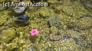 [P10] venea o moară... ă, o floare...  » foto by maryka
 - 
<span class="allrVoted glyphicon glyphicon-heart hidden" id="av749711"></span>
<a class="m-l-10 hidden" id="sv749711" onclick="voting_Foto_DelVot(,749711,21551)" role="button">șterge vot <span class="glyphicon glyphicon-remove"></span></a>
<a id="v9749711" class=" c-red"  onclick="voting_Foto_SetVot(749711)" role="button"><span class="glyphicon glyphicon-heart-empty"></span> <b>LIKE</b> = Votează poza</a> <img class="hidden"  id="f749711W9" src="/imagini/loader.gif" border="0" /><span class="AjErrMes hidden" id="e749711ErM"></span>