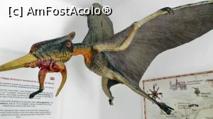 [P03] Hatzegopteryx thambema - pterozaur gigant având 12 anvergura aripilor și 3 m craniul, prădător (nu este dinozaur, ci reptilă zburătoare). Amplasat în camera de studiu de la intrare.  » foto by Lucien
 - 
<span class="allrVoted glyphicon glyphicon-heart hidden" id="av836464"></span>
<a class="m-l-10 hidden" id="sv836464" onclick="voting_Foto_DelVot(,836464,21554)" role="button">șterge vot <span class="glyphicon glyphicon-remove"></span></a>
<a id="v9836464" class=" c-red"  onclick="voting_Foto_SetVot(836464)" role="button"><span class="glyphicon glyphicon-heart-empty"></span> <b>LIKE</b> = Votează poza</a> <img class="hidden"  id="f836464W9" src="/imagini/loader.gif" border="0" /><span class="AjErrMes hidden" id="e836464ErM"></span>