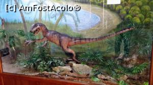 [P07] Diorama cu ”Elopteryx nopcsai”, dinozaur carnivor cu o inălțime de 1 metru, pe care ni-l putem imagina atacând în haită dinozauri ierbivori. A fost descoperit aici, la Sânpetru.  » foto by Lucien
 - 
<span class="allrVoted glyphicon glyphicon-heart hidden" id="av836468"></span>
<a class="m-l-10 hidden" id="sv836468" onclick="voting_Foto_DelVot(,836468,21554)" role="button">șterge vot <span class="glyphicon glyphicon-remove"></span></a>
<a id="v9836468" class=" c-red"  onclick="voting_Foto_SetVot(836468)" role="button"><span class="glyphicon glyphicon-heart-empty"></span> <b>LIKE</b> = Votează poza</a> <img class="hidden"  id="f836468W9" src="/imagini/loader.gif" border="0" /><span class="AjErrMes hidden" id="e836468ErM"></span>