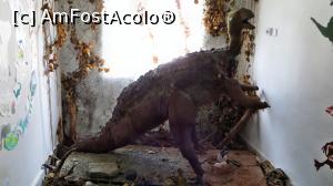 [P08] ”Telmatosaurus transylvanicus” - dinozaur ierbivor cu cioc de rață, maxim 5 m lungime și maxim 0,5 t greutate. Trăia în zonele umede. De la el au rămas și multe ouă.  » foto by Lucien
 - 
<span class="allrVoted glyphicon glyphicon-heart hidden" id="av836469"></span>
<a class="m-l-10 hidden" id="sv836469" onclick="voting_Foto_DelVot(,836469,21554)" role="button">șterge vot <span class="glyphicon glyphicon-remove"></span></a>
<a id="v9836469" class=" c-red"  onclick="voting_Foto_SetVot(836469)" role="button"><span class="glyphicon glyphicon-heart-empty"></span> <b>LIKE</b> = Votează poza</a> <img class="hidden"  id="f836469W9" src="/imagini/loader.gif" border="0" /><span class="AjErrMes hidden" id="e836469ErM"></span>