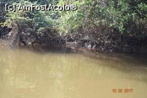 [P13] vedeti crocodilul?  » foto by robert
 - 
<span class="allrVoted glyphicon glyphicon-heart hidden" id="av837490"></span>
<a class="m-l-10 hidden" id="sv837490" onclick="voting_Foto_DelVot(,837490,21572)" role="button">șterge vot <span class="glyphicon glyphicon-remove"></span></a>
<a id="v9837490" class=" c-red"  onclick="voting_Foto_SetVot(837490)" role="button"><span class="glyphicon glyphicon-heart-empty"></span> <b>LIKE</b> = Votează poza</a> <img class="hidden"  id="f837490W9" src="/imagini/loader.gif" border="0" /><span class="AjErrMes hidden" id="e837490ErM"></span>