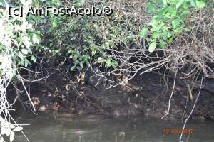 [P16] ce vedem noi aici?  » foto by robert
 - 
<span class="allrVoted glyphicon glyphicon-heart hidden" id="av837493"></span>
<a class="m-l-10 hidden" id="sv837493" onclick="voting_Foto_DelVot(,837493,21572)" role="button">șterge vot <span class="glyphicon glyphicon-remove"></span></a>
<a id="v9837493" class=" c-red"  onclick="voting_Foto_SetVot(837493)" role="button"><span class="glyphicon glyphicon-heart-empty"></span> <b>LIKE</b> = Votează poza</a> <img class="hidden"  id="f837493W9" src="/imagini/loader.gif" border="0" /><span class="AjErrMes hidden" id="e837493ErM"></span>