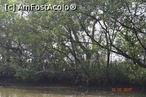 [P04] o frumoasă egretă albă » foto by robert
 - 
<span class="allrVoted glyphicon glyphicon-heart hidden" id="av837481"></span>
<a class="m-l-10 hidden" id="sv837481" onclick="voting_Foto_DelVot(,837481,21572)" role="button">șterge vot <span class="glyphicon glyphicon-remove"></span></a>
<a id="v9837481" class=" c-red"  onclick="voting_Foto_SetVot(837481)" role="button"><span class="glyphicon glyphicon-heart-empty"></span> <b>LIKE</b> = Votează poza</a> <img class="hidden"  id="f837481W9" src="/imagini/loader.gif" border="0" /><span class="AjErrMes hidden" id="e837481ErM"></span>