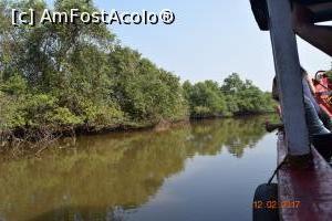 [P09] la vânatoare de crocodili » foto by robert
 - 
<span class="allrVoted glyphicon glyphicon-heart hidden" id="av837486"></span>
<a class="m-l-10 hidden" id="sv837486" onclick="voting_Foto_DelVot(,837486,21572)" role="button">șterge vot <span class="glyphicon glyphicon-remove"></span></a>
<a id="v9837486" class=" c-red"  onclick="voting_Foto_SetVot(837486)" role="button"><span class="glyphicon glyphicon-heart-empty"></span> <b>LIKE</b> = Votează poza</a> <img class="hidden"  id="f837486W9" src="/imagini/loader.gif" border="0" /><span class="AjErrMes hidden" id="e837486ErM"></span>