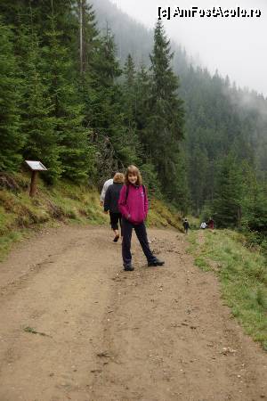 [P33] O excursionistă.  » foto by Utube
 - 
<span class="allrVoted glyphicon glyphicon-heart hidden" id="av388065"></span>
<a class="m-l-10 hidden" id="sv388065" onclick="voting_Foto_DelVot(,388065,21579)" role="button">șterge vot <span class="glyphicon glyphicon-remove"></span></a>
<a id="v9388065" class=" c-red"  onclick="voting_Foto_SetVot(388065)" role="button"><span class="glyphicon glyphicon-heart-empty"></span> <b>LIKE</b> = Votează poza</a> <img class="hidden"  id="f388065W9" src="/imagini/loader.gif" border="0" /><span class="AjErrMes hidden" id="e388065ErM"></span>