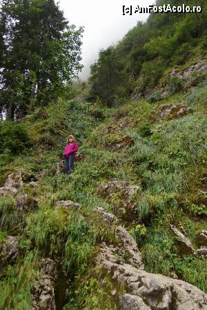[P56] Turistă care se cațără peste tot! Aici este versantul din dreapta cascadei.  » foto by Utube
 - 
<span class="allrVoted glyphicon glyphicon-heart hidden" id="av388088"></span>
<a class="m-l-10 hidden" id="sv388088" onclick="voting_Foto_DelVot(,388088,21579)" role="button">șterge vot <span class="glyphicon glyphicon-remove"></span></a>
<a id="v9388088" class=" c-red"  onclick="voting_Foto_SetVot(388088)" role="button"><span class="glyphicon glyphicon-heart-empty"></span> <b>LIKE</b> = Votează poza</a> <img class="hidden"  id="f388088W9" src="/imagini/loader.gif" border="0" /><span class="AjErrMes hidden" id="e388088ErM"></span>