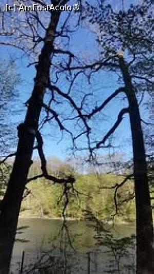 [P11] Lacul Ursu din Sovata » foto by dorgo
 - 
<span class="allrVoted glyphicon glyphicon-heart hidden" id="av1527780"></span>
<a class="m-l-10 hidden" id="sv1527780" onclick="voting_Foto_DelVot(,1527780,21581)" role="button">șterge vot <span class="glyphicon glyphicon-remove"></span></a>
<a id="v91527780" class=" c-red"  onclick="voting_Foto_SetVot(1527780)" role="button"><span class="glyphicon glyphicon-heart-empty"></span> <b>LIKE</b> = Votează poza</a> <img class="hidden"  id="f1527780W9" src="/imagini/loader.gif" border="0" /><span class="AjErrMes hidden" id="e1527780ErM"></span>