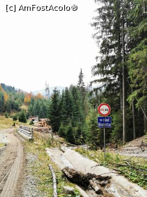 [P59] Raul Bistrita » foto by cata2106
 - 
<span class="allrVoted glyphicon glyphicon-heart hidden" id="av1200103"></span>
<a class="m-l-10 hidden" id="sv1200103" onclick="voting_Foto_DelVot(,1200103,21597)" role="button">șterge vot <span class="glyphicon glyphicon-remove"></span></a>
<a id="v91200103" class=" c-red"  onclick="voting_Foto_SetVot(1200103)" role="button"><span class="glyphicon glyphicon-heart-empty"></span> <b>LIKE</b> = Votează poza</a> <img class="hidden"  id="f1200103W9" src="/imagini/loader.gif" border="0" /><span class="AjErrMes hidden" id="e1200103ErM"></span>