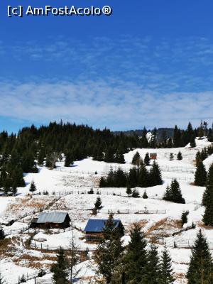 [P12] Stanele de pe traseu » foto by cata2106
 - 
<span class="allrVoted glyphicon glyphicon-heart hidden" id="av1221774"></span>
<a class="m-l-10 hidden" id="sv1221774" onclick="voting_Foto_DelVot(,1221774,21597)" role="button">șterge vot <span class="glyphicon glyphicon-remove"></span></a>
<a id="v91221774" class=" c-red"  onclick="voting_Foto_SetVot(1221774)" role="button"><span class="glyphicon glyphicon-heart-empty"></span> <b>LIKE</b> = Votează poza</a> <img class="hidden"  id="f1221774W9" src="/imagini/loader.gif" border="0" /><span class="AjErrMes hidden" id="e1221774ErM"></span>