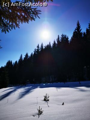 [P03] Zapada pe traseu » foto by cata2106
 - 
<span class="allrVoted glyphicon glyphicon-heart hidden" id="av1221765"></span>
<a class="m-l-10 hidden" id="sv1221765" onclick="voting_Foto_DelVot(,1221765,21597)" role="button">șterge vot <span class="glyphicon glyphicon-remove"></span></a>
<a id="v91221765" class=" c-red"  onclick="voting_Foto_SetVot(1221765)" role="button"><span class="glyphicon glyphicon-heart-empty"></span> <b>LIKE</b> = Votează poza</a> <img class="hidden"  id="f1221765W9" src="/imagini/loader.gif" border="0" /><span class="AjErrMes hidden" id="e1221765ErM"></span>