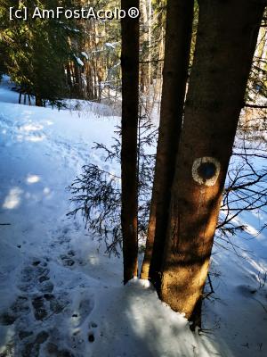 [P04] Marcaj bulina albastra » foto by cata2106
 - 
<span class="allrVoted glyphicon glyphicon-heart hidden" id="av1221766"></span>
<a class="m-l-10 hidden" id="sv1221766" onclick="voting_Foto_DelVot(,1221766,21597)" role="button">șterge vot <span class="glyphicon glyphicon-remove"></span></a>
<a id="v91221766" class=" c-red"  onclick="voting_Foto_SetVot(1221766)" role="button"><span class="glyphicon glyphicon-heart-empty"></span> <b>LIKE</b> = Votează poza</a> <img class="hidden"  id="f1221766W9" src="/imagini/loader.gif" border="0" /><span class="AjErrMes hidden" id="e1221766ErM"></span>