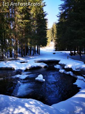 [P05] Prima parte a traseului » foto by cata2106
 - 
<span class="allrVoted glyphicon glyphicon-heart hidden" id="av1221767"></span>
<a class="m-l-10 hidden" id="sv1221767" onclick="voting_Foto_DelVot(,1221767,21597)" role="button">șterge vot <span class="glyphicon glyphicon-remove"></span></a>
<a id="v91221767" class=" c-red"  onclick="voting_Foto_SetVot(1221767)" role="button"><span class="glyphicon glyphicon-heart-empty"></span> <b>LIKE</b> = Votează poza</a> <img class="hidden"  id="f1221767W9" src="/imagini/loader.gif" border="0" /><span class="AjErrMes hidden" id="e1221767ErM"></span>