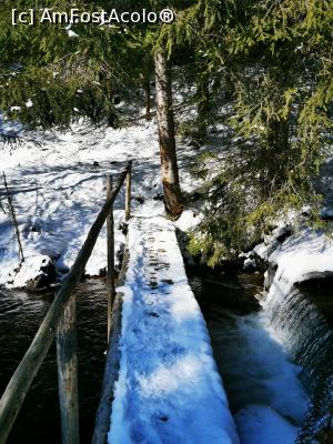 [P06] Podet lemn » foto by cata2106
 - 
<span class="allrVoted glyphicon glyphicon-heart hidden" id="av1221768"></span>
<a class="m-l-10 hidden" id="sv1221768" onclick="voting_Foto_DelVot(,1221768,21597)" role="button">șterge vot <span class="glyphicon glyphicon-remove"></span></a>
<a id="v91221768" class=" c-red"  onclick="voting_Foto_SetVot(1221768)" role="button"><span class="glyphicon glyphicon-heart-empty"></span> <b>LIKE</b> = Votează poza</a> <img class="hidden"  id="f1221768W9" src="/imagini/loader.gif" border="0" /><span class="AjErrMes hidden" id="e1221768ErM"></span>