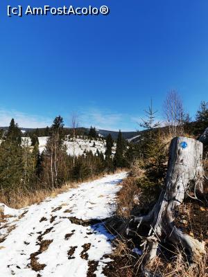 [P09] Zona defrisata » foto by cata2106
 - 
<span class="allrVoted glyphicon glyphicon-heart hidden" id="av1221771"></span>
<a class="m-l-10 hidden" id="sv1221771" onclick="voting_Foto_DelVot(,1221771,21597)" role="button">șterge vot <span class="glyphicon glyphicon-remove"></span></a>
<a id="v91221771" class=" c-red"  onclick="voting_Foto_SetVot(1221771)" role="button"><span class="glyphicon glyphicon-heart-empty"></span> <b>LIKE</b> = Votează poza</a> <img class="hidden"  id="f1221771W9" src="/imagini/loader.gif" border="0" /><span class="AjErrMes hidden" id="e1221771ErM"></span>