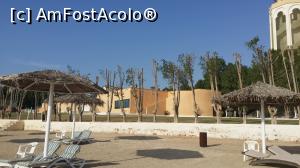 [P32] Five Continents Ghantoot Beach Resort - pe plajă » foto by nicole33
 - 
<span class="allrVoted glyphicon glyphicon-heart hidden" id="av838228"></span>
<a class="m-l-10 hidden" id="sv838228" onclick="voting_Foto_DelVot(,838228,21646)" role="button">șterge vot <span class="glyphicon glyphicon-remove"></span></a>
<a id="v9838228" class=" c-red"  onclick="voting_Foto_SetVot(838228)" role="button"><span class="glyphicon glyphicon-heart-empty"></span> <b>LIKE</b> = Votează poza</a> <img class="hidden"  id="f838228W9" src="/imagini/loader.gif" border="0" /><span class="AjErrMes hidden" id="e838228ErM"></span>