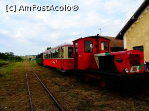 [P11] Garnitura mocăniței. » foto by tata123 🔱
 - 
<span class="allrVoted glyphicon glyphicon-heart hidden" id="av1249212"></span>
<a class="m-l-10 hidden" id="sv1249212" onclick="voting_Foto_DelVot(,1249212,21647)" role="button">șterge vot <span class="glyphicon glyphicon-remove"></span></a>
<a id="v91249212" class=" c-red"  onclick="voting_Foto_SetVot(1249212)" role="button"><span class="glyphicon glyphicon-heart-empty"></span> <b>LIKE</b> = Votează poza</a> <img class="hidden"  id="f1249212W9" src="/imagini/loader.gif" border="0" /><span class="AjErrMes hidden" id="e1249212ErM"></span>
