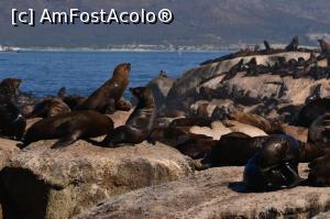 P18 [FEB-2020] Seal Island in Hout Bay