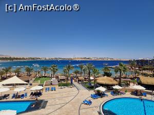 [P01]  -- <small>// FĂRĂ DESCRIERE</small> » foto by Adela88
 - 
<span class="allrVoted glyphicon glyphicon-heart hidden" id="av1424994"></span>
<a class="m-l-10 hidden" id="sv1424994" onclick="voting_Foto_DelVot(,1424994,21666)" role="button">șterge vot <span class="glyphicon glyphicon-remove"></span></a>
<a id="v91424994" class=" c-red"  onclick="voting_Foto_SetVot(1424994)" role="button"><span class="glyphicon glyphicon-heart-empty"></span> <b>LIKE</b> = Votează poza</a> <img class="hidden"  id="f1424994W9" src="/imagini/loader.gif" border="0" /><span class="AjErrMes hidden" id="e1424994ErM"></span>