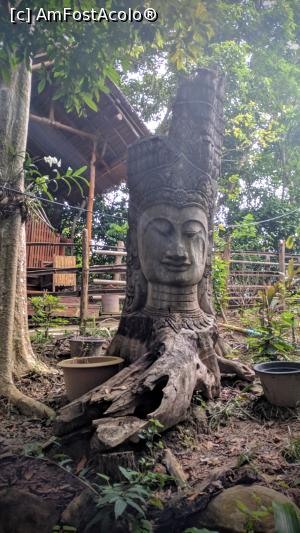 [P20]  -- <small>// FĂRĂ DESCRIERE</small> » foto by ascarlat
 - 
<span class="allrVoted glyphicon glyphicon-heart hidden" id="av839324"></span>
<a class="m-l-10 hidden" id="sv839324" onclick="voting_Foto_DelVot(,839324,21672)" role="button">șterge vot <span class="glyphicon glyphicon-remove"></span></a>
<a id="v9839324" class=" c-red"  onclick="voting_Foto_SetVot(839324)" role="button"><span class="glyphicon glyphicon-heart-empty"></span> <b>LIKE</b> = Votează poza</a> <img class="hidden"  id="f839324W9" src="/imagini/loader.gif" border="0" /><span class="AjErrMes hidden" id="e839324ErM"></span>