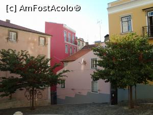 [P01] Mouraria, barrio autentic al Lisabonei vechi, aflat sub poalele castelului -Largo de Achada -un pastel de culori, ador imaginea cu copacii care scot capul din piatră.  » foto by mireille
 - 
<span class="allrVoted glyphicon glyphicon-heart hidden" id="av932298"></span>
<a class="m-l-10 hidden" id="sv932298" onclick="voting_Foto_DelVot(,932298,21709)" role="button">șterge vot <span class="glyphicon glyphicon-remove"></span></a>
<a id="v9932298" class=" c-red"  onclick="voting_Foto_SetVot(932298)" role="button"><span class="glyphicon glyphicon-heart-empty"></span> <b>LIKE</b> = Votează poza</a> <img class="hidden"  id="f932298W9" src="/imagini/loader.gif" border="0" /><span class="AjErrMes hidden" id="e932298ErM"></span>