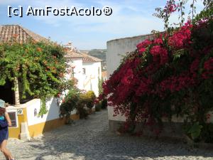 [P16] Obidos -strazi pavate, case ce rad in soare » foto by mireille
 - 
<span class="allrVoted glyphicon glyphicon-heart hidden" id="av843697"></span>
<a class="m-l-10 hidden" id="sv843697" onclick="voting_Foto_DelVot(,843697,21727)" role="button">șterge vot <span class="glyphicon glyphicon-remove"></span></a>
<a id="v9843697" class=" c-red"  onclick="voting_Foto_SetVot(843697)" role="button"><span class="glyphicon glyphicon-heart-empty"></span> <b>LIKE</b> = Votează poza</a> <img class="hidden"  id="f843697W9" src="/imagini/loader.gif" border="0" /><span class="AjErrMes hidden" id="e843697ErM"></span>